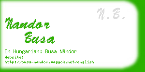 nandor busa business card